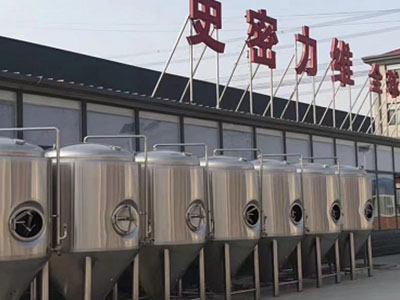 岑巩精酿啤酒设备厂—如何判断精酿啤酒设备的密封件需要更换？